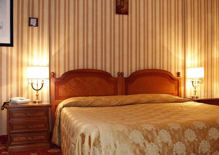 Standard double room for single use Eliseo Hotel Rome Standard double room for single use Eliseo Hotel Rome