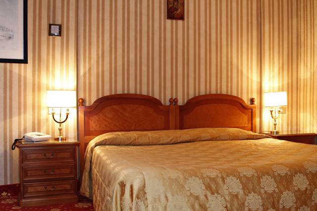 Standard double room for single use Eliseo Hotel Rome