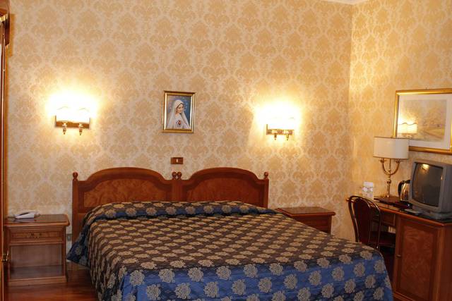 Standard double room for single use Pace Helvezia Hotel Rome